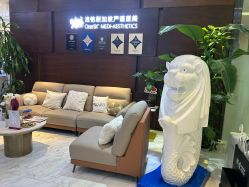 -洁铭新加坡医美