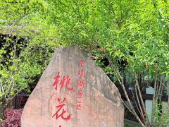 -金鸡湖桃花岛