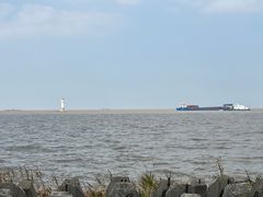 -上海滨江森林公园