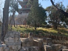 -迎泽公园