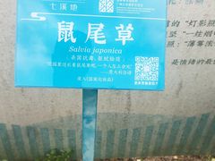 -世间香境·七溪地