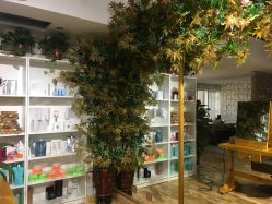 -明洞造型精品烫染