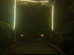 -宝莱纳啤酒花园餐厅PAULANER BRAUHAUS Nanjing(广州路店)