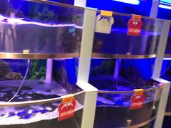 -七欣天(上海淮海路新尚广场店)