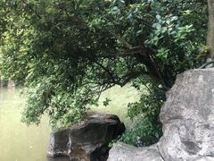 -云溪植物园