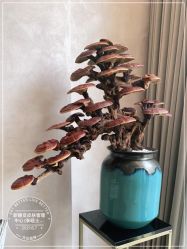 -新蝶变皮肤管理中心