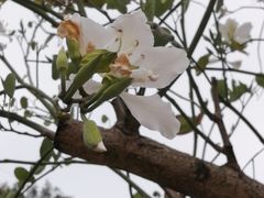 -小南山公园