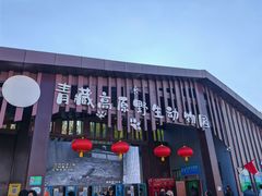 -青藏高原野生动物园