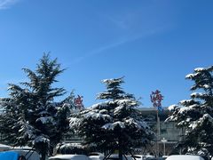 -威海大水泊国际机场