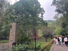 -灵栖洞天
