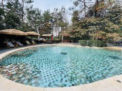 -天目湖涵田半山温泉