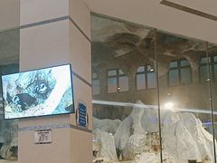 -帝企鹅自助餐厅•儿童岛•真企鹅(长隆企鹅酒店)