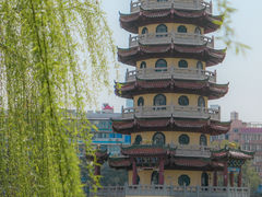 -宝岛公园