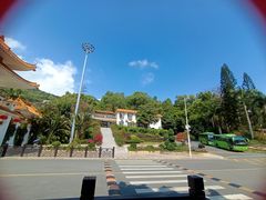 -深圳仙湖植物园