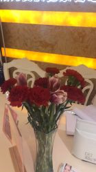 -艺米阳光Hair Salon