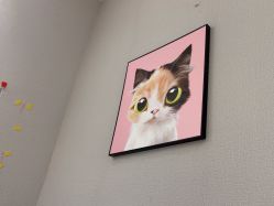 -洗脸猫·洗脸吧