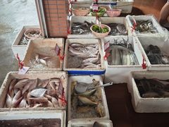 -胜海大排档·海鲜·黄鳝饭(十年老店)