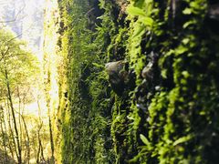 -桂林资江天门山风景区