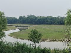 -北京麋鹿生态实验中心