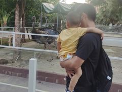 -灵玲国际马戏城
