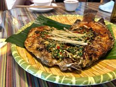 香茅草烤鱼-呐咪傣园·云南菜(石厦店)
