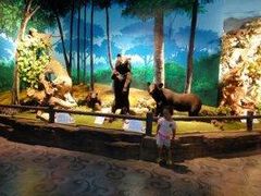 -大连森林动物园