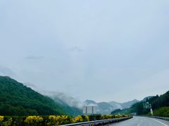 -五女峰国家森林公园