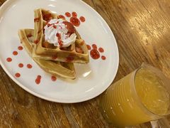 -more than meow吴止猫主题餐厅(承德 中船汇店)