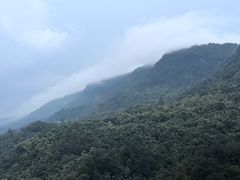 -缙云山景区