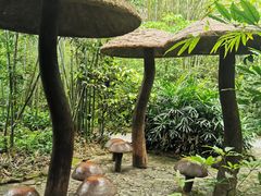 -大屏嶂森林公园