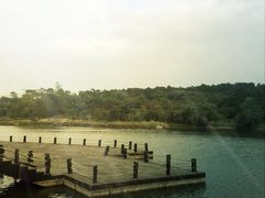-广西壮族自治区药用植物园