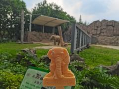 -成都动物园