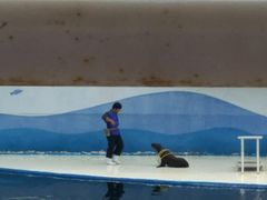 -北戴河圣蓝海洋公园