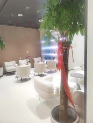 -幼泡泡连锁美容医疗