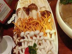 精品菌菇组合-慢丽江·云南野生菌土鸡锅(西山店)