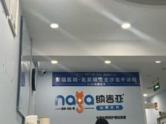 -纳吉亚猫专科动物诊疗中心(蒋宅口分院)