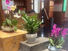 -黔蘑菇四季餐厅(观山湖店)