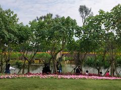 -天府芙蓉园