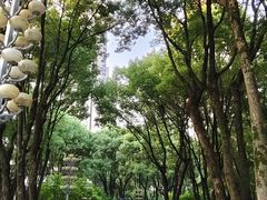 -重庆市江北嘴中央商务区中央公园