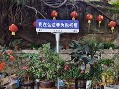 -深圳仙湖植物园
