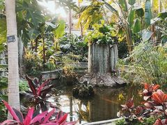 -北京植物园-展览温室