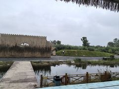 -泗洪洪泽湖湿地景区