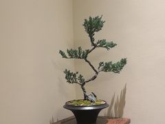 -小茶闲舍·观景商务茶馆(广州塔店)