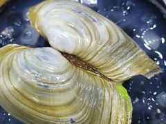 象牙贝-老虎滩大连海鲜烧烤(建邺云锦路总店)