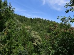 -玉渡山自然风景区