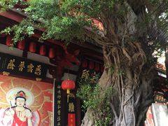 -叩齿古寺