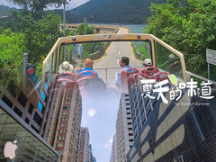 -Big Bus Tours 敞篷观光巴士