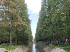 -东平国家森林公园