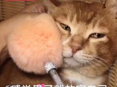 -将相和·海鲜蒸饺大连菜