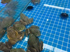 -城市名人壹超市(万达店)